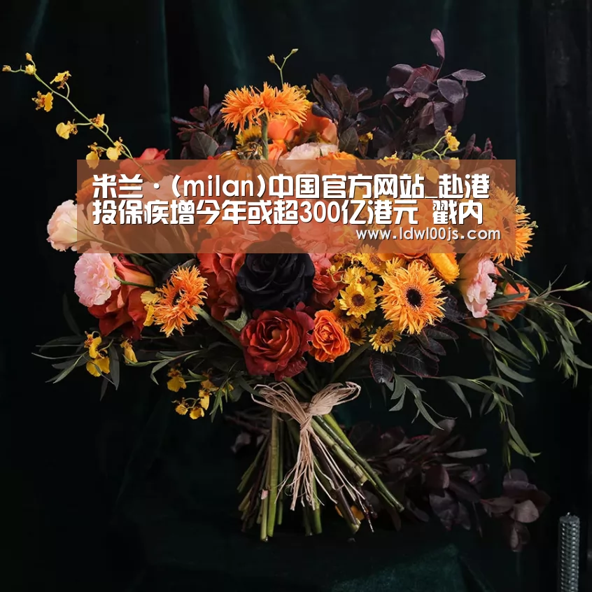 米兰·(milan)中国官方网站_赴港投保疾增今年或超300亿港元 戳内地险企痛点(图3)