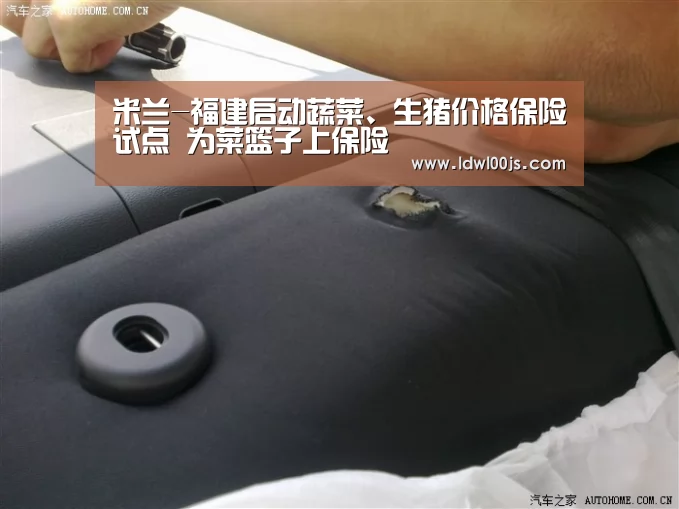 米兰-福建启动蔬菜、生猪价格保险试点 为菜篮子上保险(图2)