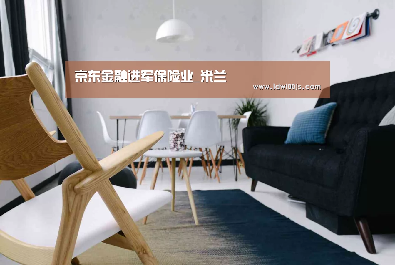 京东金融进军保险业_米兰(图3) 米兰